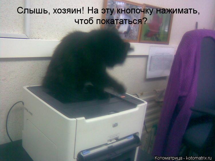 Котоматрица: Слышь, хозяин! На эту кнопочку нажимать, чтоб покататься?