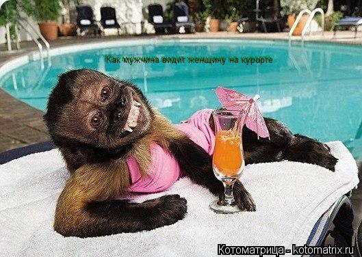 Котоматрица: Как мужчина видит женщину на курорте