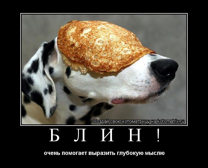 Б Л И Н ! очень помогает выразить глубокую мыслю... Котоматрица: Б Л И Н ! очень помогает выразить глубокую мыслю