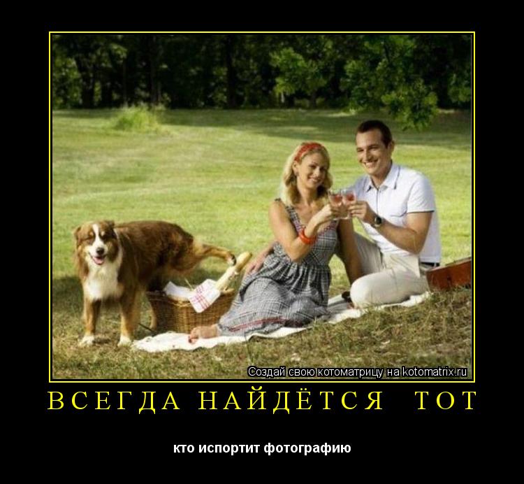 Котоматрица: ВСЕГДА НАЙДЁТСЯ  ТОТ кто испортит фотографию