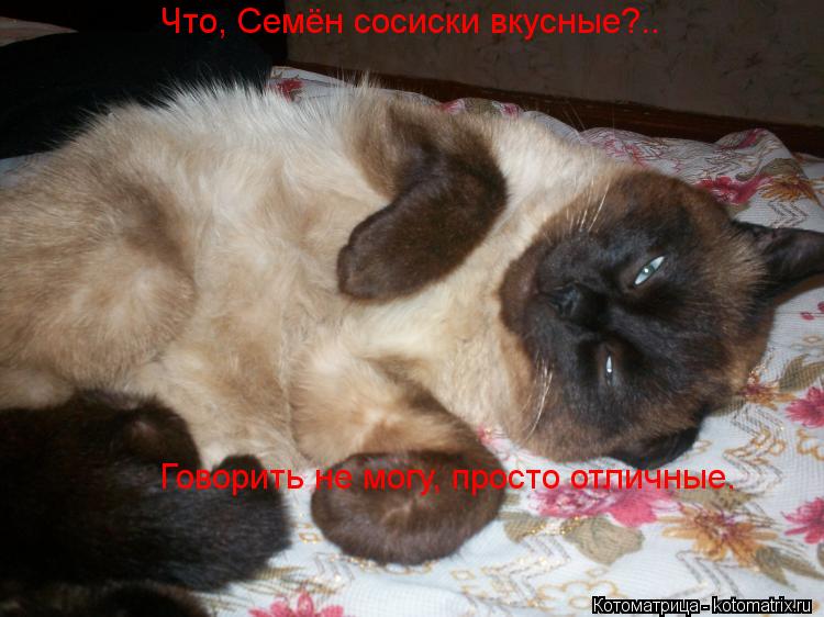 Котоматрица: Что, Семён сосиски вкусные?..   Говорить не могу, просто отличные.