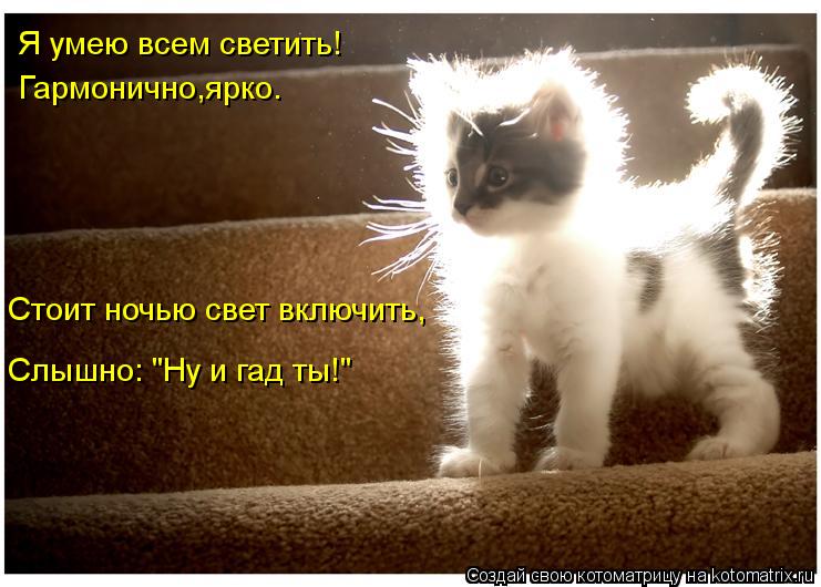 Я умею всем светить! Гармонично,ярко. Стоит ночью свет включить, Слышно: "Ну и гад ты!"... Котоматрица: Я умею всем светить! Гармонично,ярко. Стоит ночью свет включить, Слышно: "Ну и гад ты!"