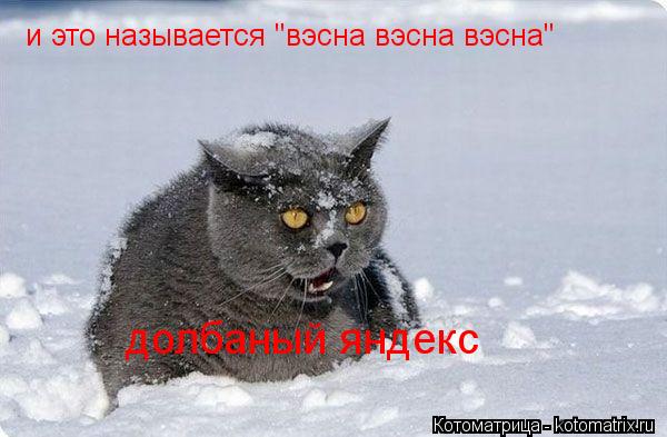 и это называется "вэсна вэсна вэсна" долбаный яндекс... Котоматрица: и это называется "вэсна вэсна вэсна" долбаный яндекс
