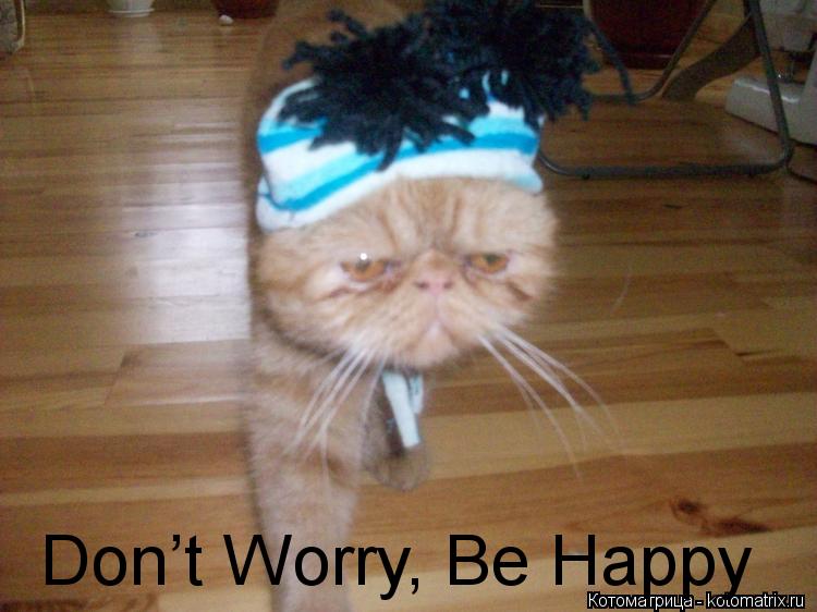 Don’t Worry, Be Happy... Котоматрица: Don’t Worry, Be Happy