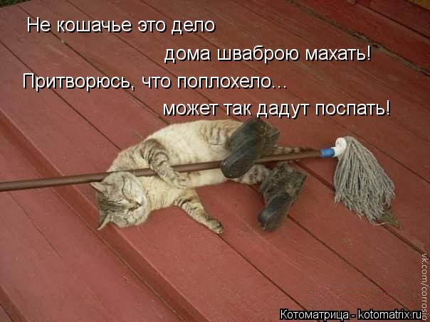 Не кошачье это дело дома шваброю махать! может так дадут поспать! Притворюсь, что поплохело...... Котоматрица: Не кошачье это дело дома шваброю махать! может так дадут поспать! Притворюсь, что поплохело...