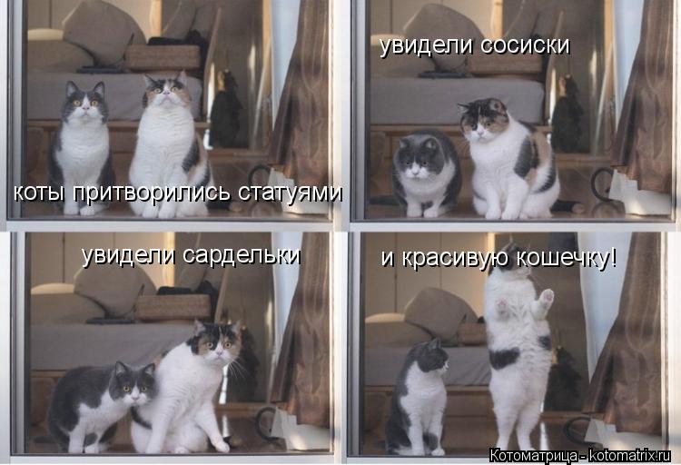 коты притворились статуями увидели сосиски увидели сардельки и красивую кошечку!... Котоматрица: коты притворились статуями увидели сосиски увидели сардельки и красивую кошечку!