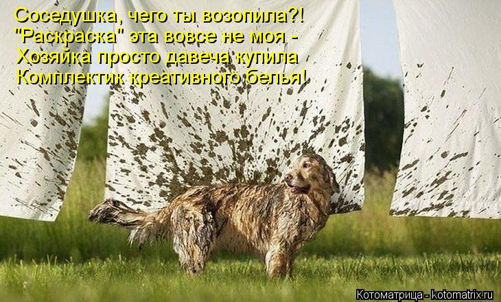 Соседушка, чего ты возопила?! "Раскраска" эта вовсе не моя - Хозяйка просто давеча купила Комплектик ... Котоматрица: Соседушка, чего ты возопила?! "Раскраска" эта вовсе не моя - Хозяйка просто давеча купила Комплектик креативного белья!