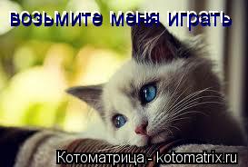 возьмите меня играть возьмите меня играть... Котоматрица: возьмите меня играть возьмите меня играть