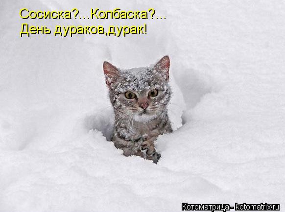 Сосиска?...Колбаска?... День дураков,дурак!... Котоматрица: Сосиска?...Колбаска?... День дураков,дурак!