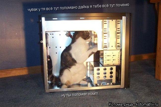 чувак у тя всё тут поломано дайка я тебе всё тут поченю чувак у тя всё тут поломано дайка я тебе всё ... Котоматрица: чувак у тя всё тут поломано дайка я тебе всё тут поченю чувак у тя всё тут поломано дайка я тебе всё тут поченю ну ты поломал комп! ну ты полом