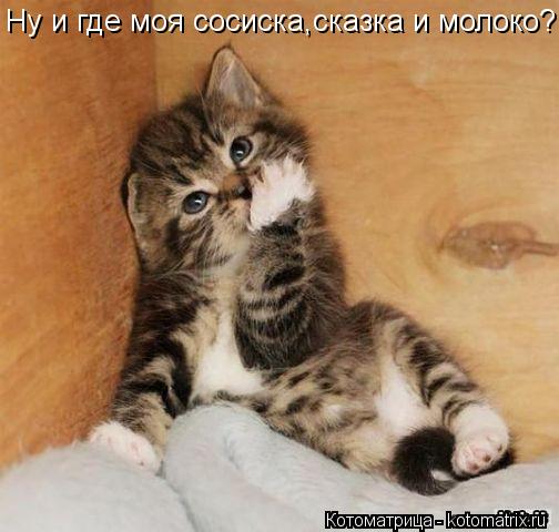 Котоматрица: Ну и где моя сосиска,сказка и молоко?