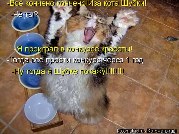 -Всё кончено кончено!Иза кота Шубки! -Чё ты? -Я проиграл в конкурсе красоты! -Тогда всё прости конкур... Котоматрица: -Всё кончено кончено!Иза кота Шубки! -Чё ты? -Я проиграл в конкурсе красоты! -Тогда всё прости конкурс через 1 год -Ну тогда я Шубке покажу!!!!!!!!