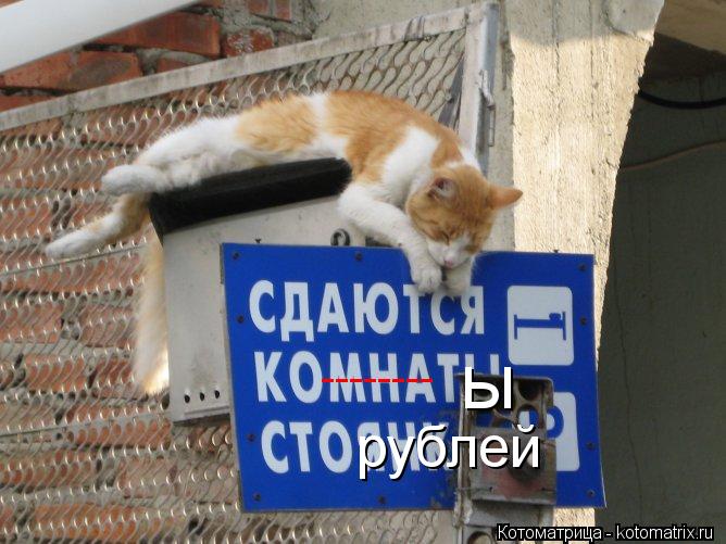 ы -------- рублей... Котоматрица: ы -------- рублей