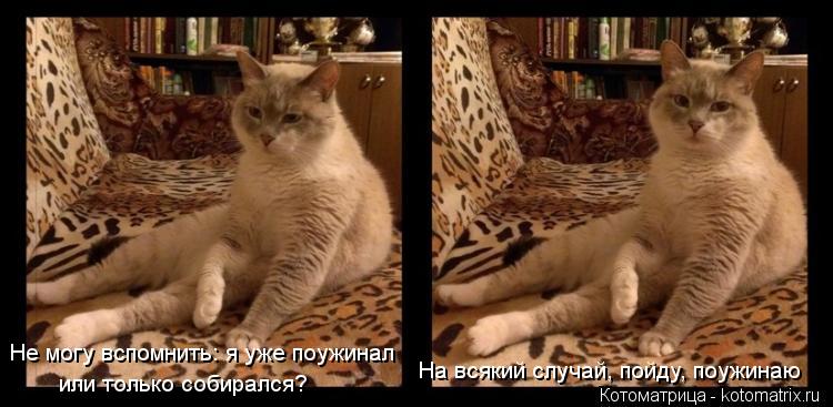 Не могу вспомнить: я уже поужинал или только собирался? На всякий случай, пойду, поужинаю... Котоматрица: Не могу вспомнить: я уже поужинал или только собирался? На всякий случай, пойду, поужинаю