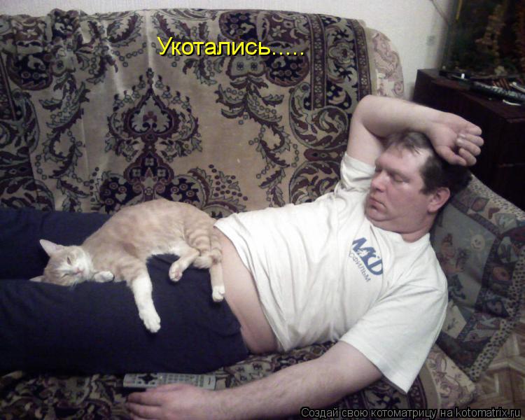 Укотались........ Котоматрица: Укотались.....