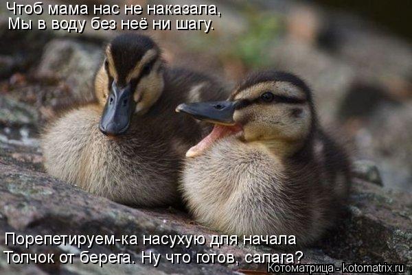 Чтоб мама нас не наказала, Мы в воду без неё ни шагу. Порепетируем-ка насухую для начала Толчок от бе... Котоматрица: Чтоб мама нас не наказала, Мы в воду без неё ни шагу. Порепетируем-ка насухую для начала Толчок от берега. Ну что готов, салага?