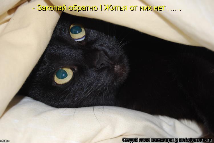 - Закопай обратно ! Житья от них нет ......... Котоматрица: - Закопай обратно ! Житья от них нет ......