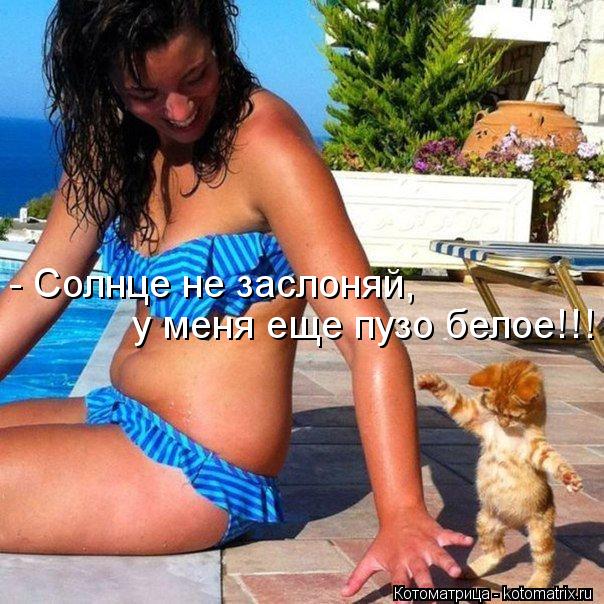 Котоматрица: - Солнце не заслоняй,  у меня еще пузо белое!!!