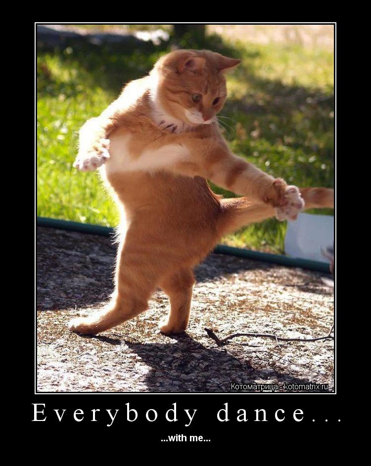 Everybody dance... ...with me...... Котоматрица: Everybody dance... ...with me...