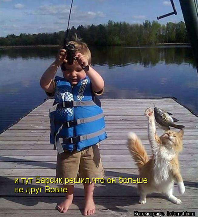 и тут Барсик решил,что он больше не друг Вовке.... Котоматрица: и тут Барсик решил,что он больше не друг Вовке.
