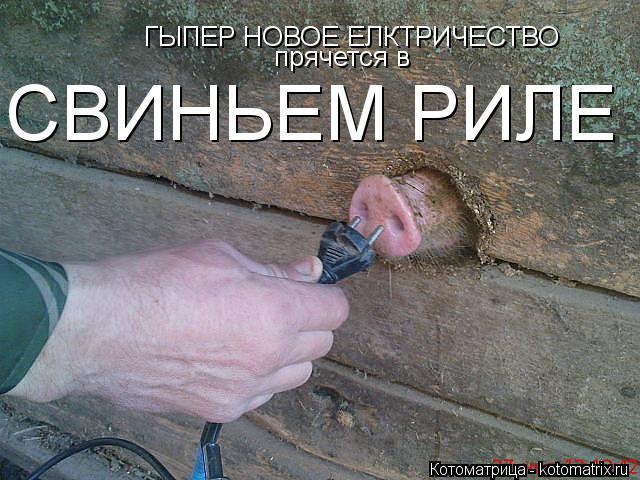 ГЫПЕР НОВОЕ ЕЛКТРИЧЕСТВО прячется в СВИНЬЕМ РИЛЕ... Котоматрица: ГЫПЕР НОВОЕ ЕЛКТРИЧЕСТВО прячется в СВИНЬЕМ РИЛЕ