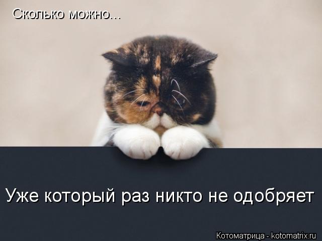 Сколько можно... Уже который раз никто не одобряет... Котоматрица: Сколько можно... Уже который раз никто не одобряет