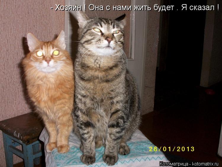 - Хозяин ! Она с нами жить будет . Я сказал !... Котоматрица: - Хозяин ! Она с нами жить будет . Я сказал !