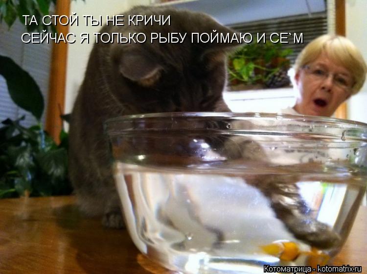 ТА СТОЙ ТЫ НЕ КРИЧИ СЕЙЧАС Я ТОЛЬКО РЫБУ ПОЙМАЮ И СЕ`М... Котоматрица: ТА СТОЙ ТЫ НЕ КРИЧИ СЕЙЧАС Я ТОЛЬКО РЫБУ ПОЙМАЮ И СЕ`М