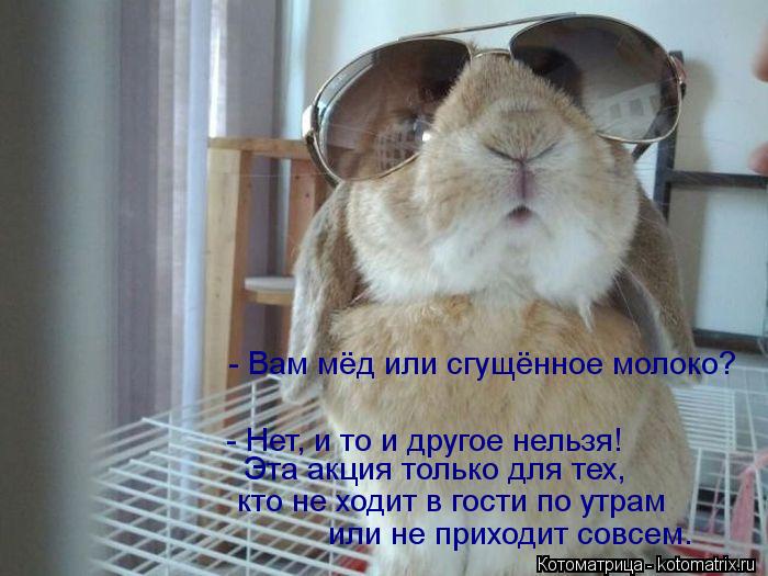 или не приходит совсем. кто не ходит в гости по утрам Эта акция только для тех, - Нет, и то и другое ... Котоматрица: или не приходит совсем. кто не ходит в гости по утрам Эта акция только для тех, - Нет, и то и другое нельзя! - Вам мёд или сгущённое молоко?