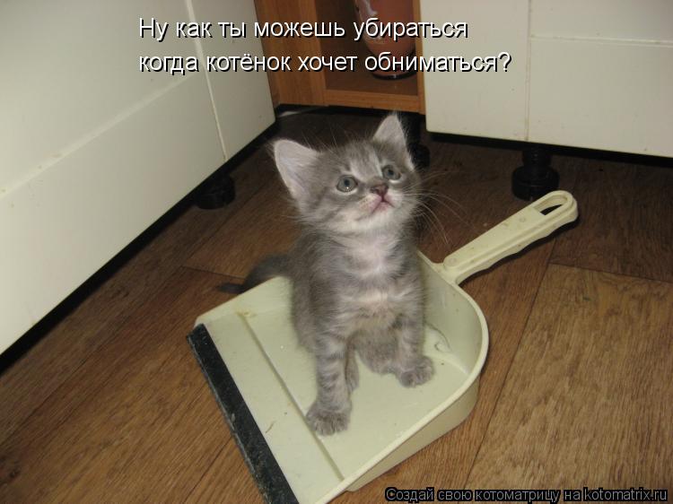 Ну как ты можешь убираться когда котёнок хочет обниматься?... Котоматрица: Ну как ты можешь убираться когда котёнок хочет обниматься?
