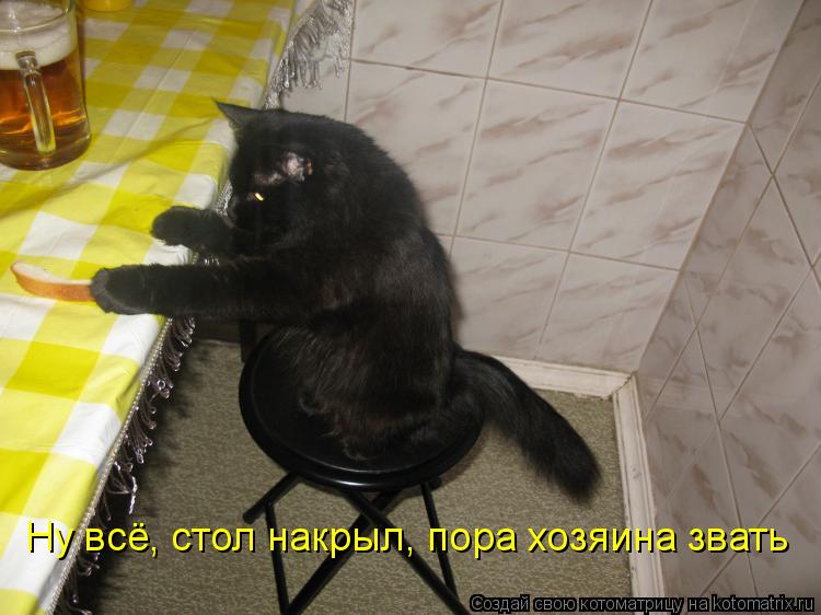 Ну всё, стол накрыл, пора хозяина звать... Котоматрица: Ну всё, стол накрыл, пора хозяина звать