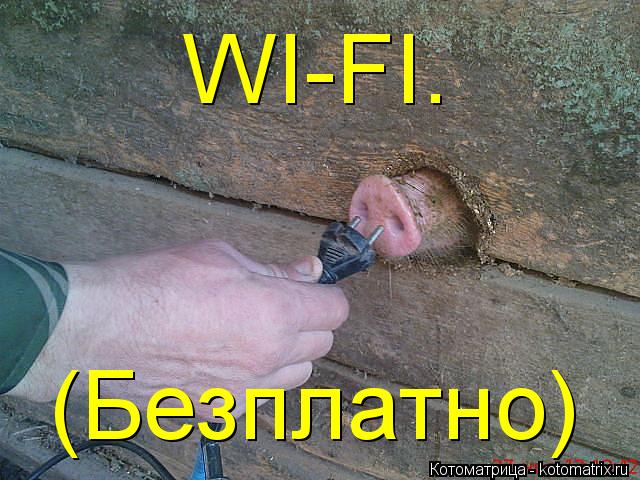 WI-FI. (Безплатно)... Котоматрица: WI-FI. (Безплатно)