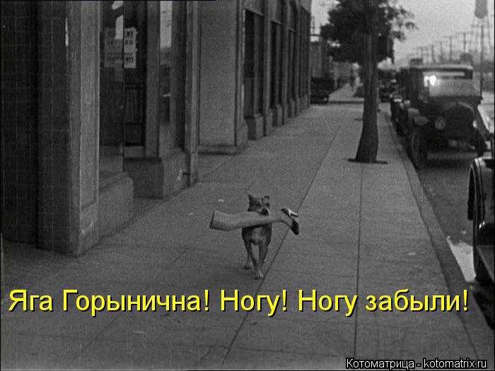 Яга Горынична! Ногу! Ногу забыли!... Котоматрица: Яга Горынична! Ногу! Ногу забыли!