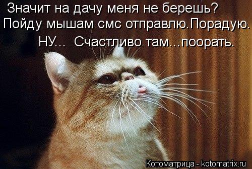 http://kotomatrix.ru/images/lolz/2013/04/08/kotomatritsa_L6.jpg
