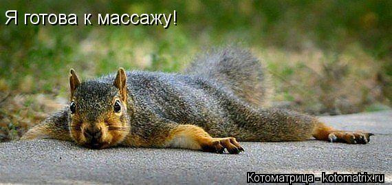 Я готова к массажу!... Котоматрица: Я готова к массажу!