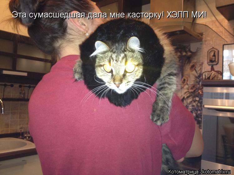Эта сумасшедшая дала мне касторку! ХЭЛП МИ!... Котоматрица: Эта сумасшедшая дала мне касторку! ХЭЛП МИ!