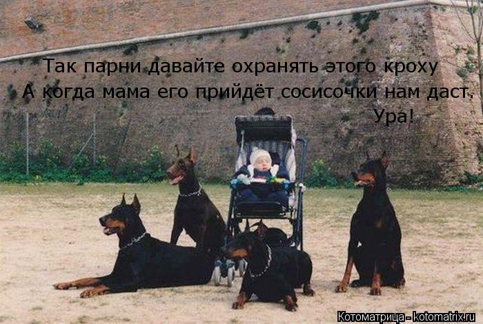 Так парни давайте охранять этого кроху А когда мама его прийдёт сосисочки нам даст. Ура!... Котоматрица: Так парни давайте охранять этого кроху А когда мама его прийдёт сосисочки нам даст. Ура!