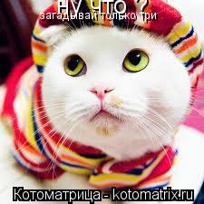 ну что ? загадывай только три... Котоматрица: ну что ? загадывай только три