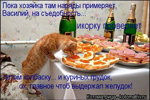 Василий, на съедобность... Пока хозяйка там наряды примеряет, потом колбаску... и куриных грудок, ох,... Котоматрица: Василий, на съедобность... Пока хозяйка там наряды примеряет, потом колбаску... и куриных грудок, ох, главное чтоб выдержал желудок! икорку пр