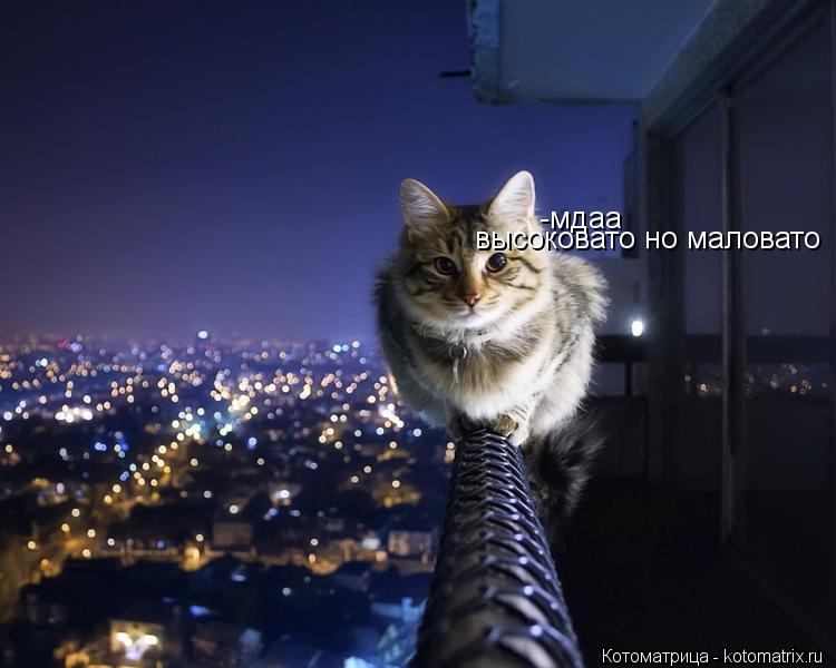 -мдаа высоковато но маловато... Котоматрица: -мдаа высоковато но маловато