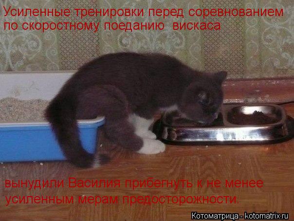 Усиленные тренировки перед соревнованием по скоростному поеданию вискаса вынудили Василия прибегнуть... Котоматрица: Усиленные тренировки перед соревнованием по скоростному поеданию вискаса вынудили Василия прибегнуть к не менее усиленным мерам предост