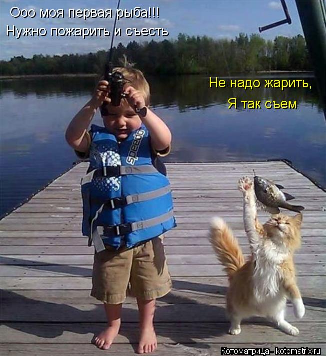 Ооо моя первая рыба!!! Нужно пожарить и съесть Не надо жарить, Я так съем... Котоматрица: Ооо моя первая рыба!!! Нужно пожарить и съесть Не надо жарить, Я так съем