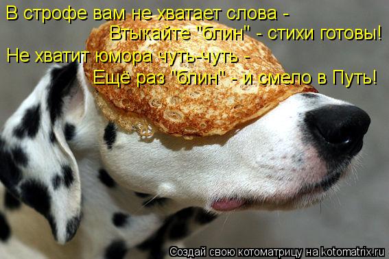 В строфе вам не хватает слова - Втыкайте "блин" - стихи готовы! Не хватит юмора чуть-чуть - Ещё раз "... Котоматрица: В строфе вам не хватает слова - Втыкайте "блин" - стихи готовы! Не хватит юмора чуть-чуть - Ещё раз "блин" - и смело в Путь!