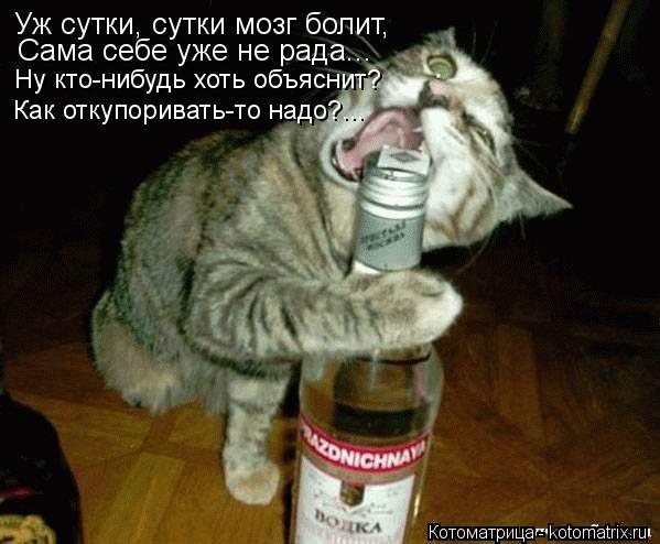 Уж сутки, сутки мозг болит, Сама себе уже не рада... Ну кто-нибудь хоть объяснит? Как откупоривать-то... Котоматрица: Уж сутки, сутки мозг болит, Сама себе уже не рада... Ну кто-нибудь хоть объяснит? Как откупоривать-то надо?...