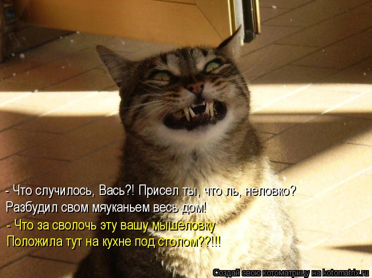 Котоматрица: - Что случилось, Вась?! Присел ты, что ль, неловко?  Разбудил свом мяуканьем весь дом! - Что за сволочь эту вашу мышеловку Положила тут на кухне 
