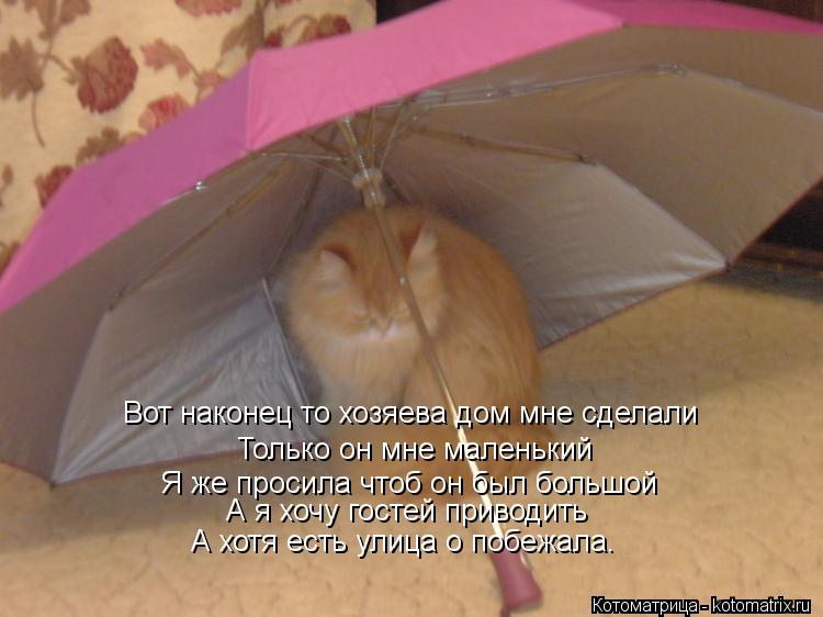 Вот наконец то хозяева дом мне сделали Только он мне маленький Я же просила чтоб он был большой А я х... Котоматрица: Вот наконец то хозяева дом мне сделали Только он мне маленький Я же просила чтоб он был большой А я хочу гостей приводить А хотя есть улица о