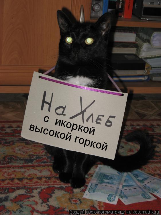 Котоматрица: с  икоркой высокой горкой