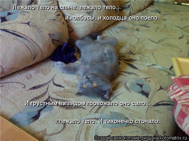 Лежало тело на спине, лежало тело... и колбасы, и холодца оно поело. И грустным взглядом провожало ... Котоматрица: Лежало тело на спине, лежало тело... и колбасы, и холодца оно поело. И грустным взглядом провожало оно сало... ...лежало тело. И тихонечко стон