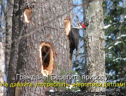 Граждане! Берегите природу! Не давайте употреблять энергетики дятлам!... Котоматрица: Граждане! Берегите природу! Не давайте употреблять энергетики дятлам!