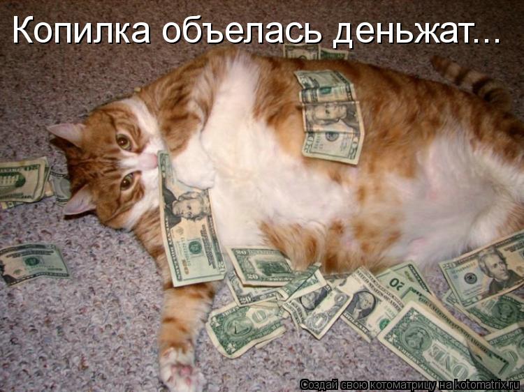 Копилка объелась деньжат...... Котоматрица: Копилка объелась деньжат...